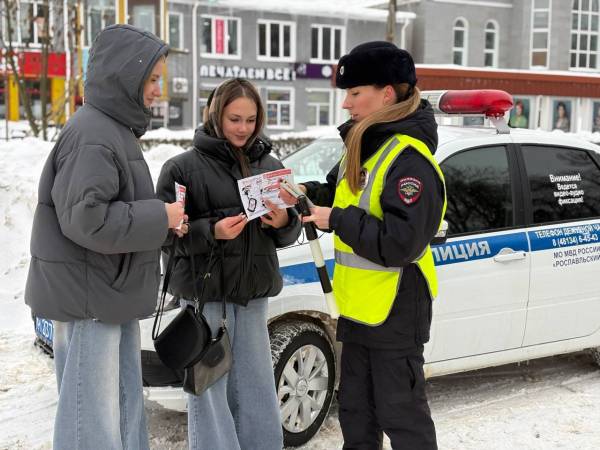 Безопасность на зимних дорогах: Акция Госавтоинспекции 