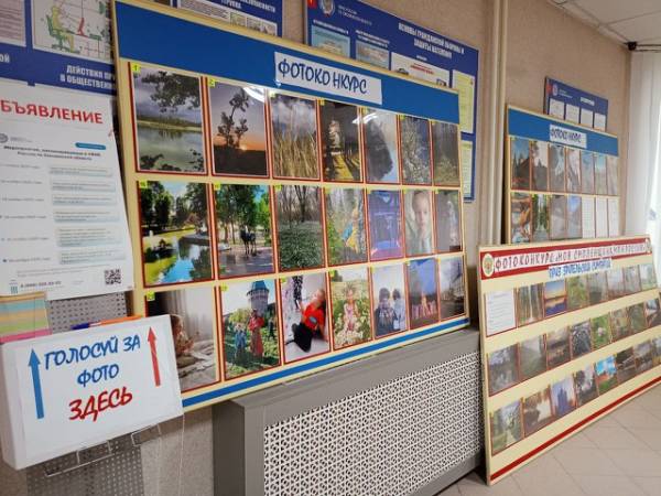 Любовь к Родине через объектив: сотрудники ФНС провели фотоконкурс