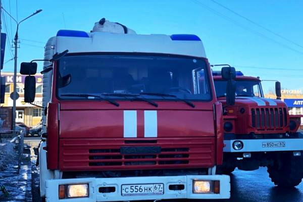 В Смоленском районе огонь уничтожил гараж