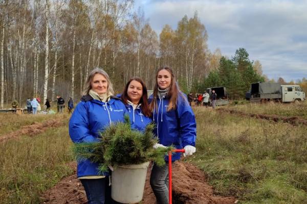 В Смоленской области появился «почтовый лес»