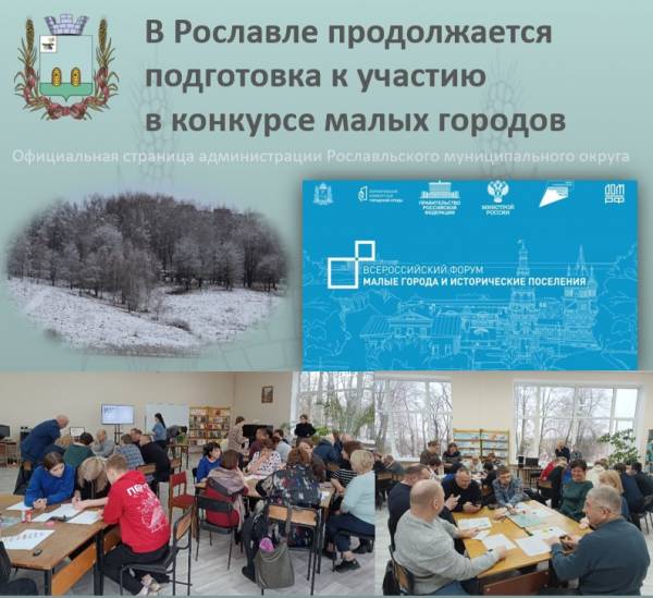 Опрос по благоустройству территории дамбы в Рославле