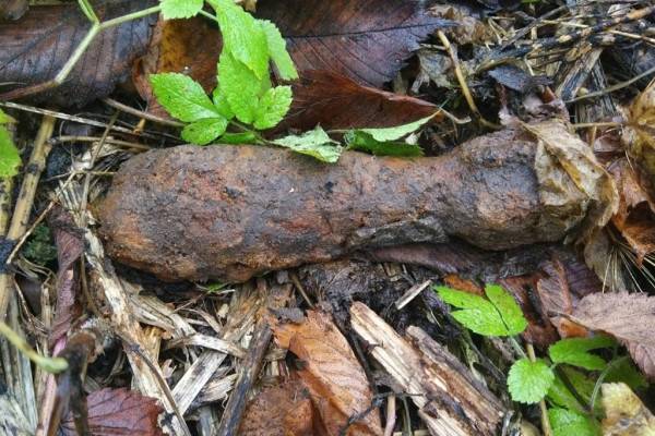 В Смоленске найдена и обезврежена 50-мм миномётная мина