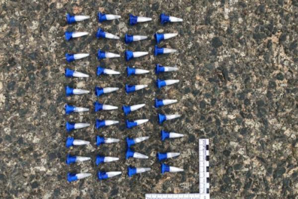В Смоленской области полиция изъяла крупную партию наркотиков В Смоленской области полиция изъяла крупную партию наркотиков
