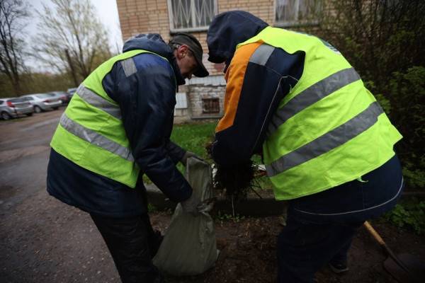 Поздравление мэра Смоленска с Днем работников бытового обслуживания и ЖКХ