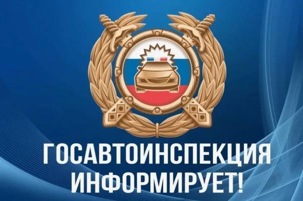 Проблемы беспечения детской дорожно-транспортной безопасности и меры, принимаемые Госавтоинспекцией