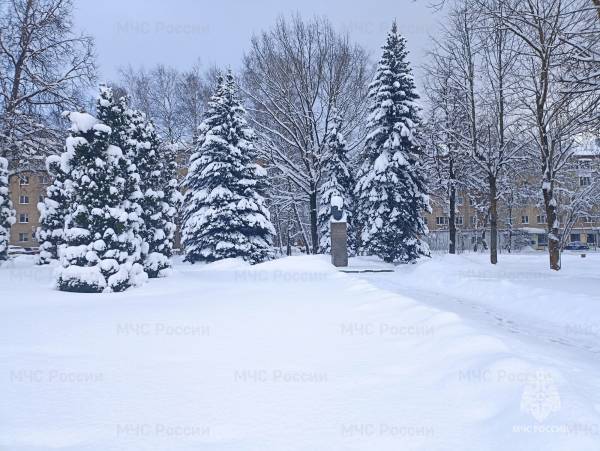 Морозы сменяются оттепелью