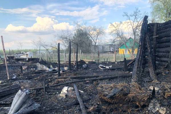 В Смоленском районе при пожаре погибли 12 свиней, две козы и много котов