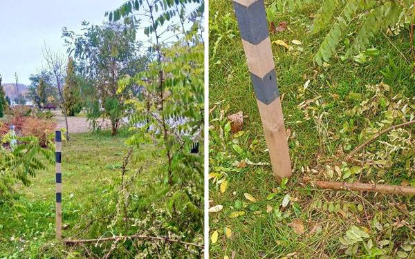 Защитим красоту нашего города вместе!