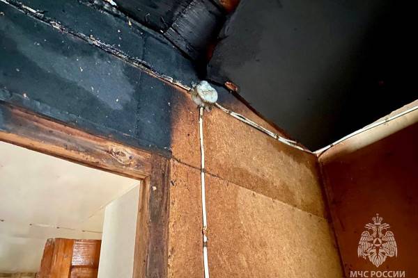 В Хиславичском районе котята предупредили смолянку о возникшем пожаре