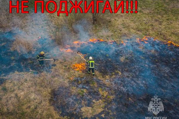 В МЧС напоминают смолянам: за поджог сухой травы назначается штраф