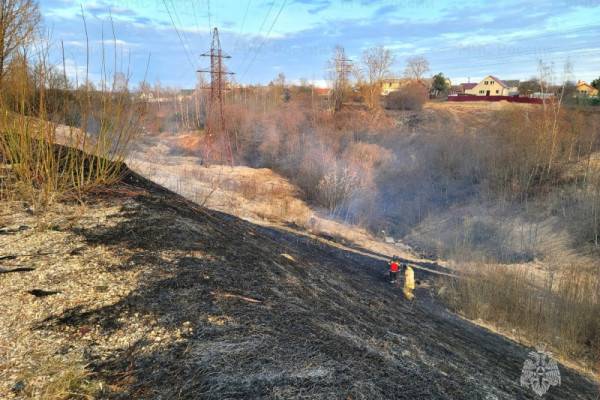 В Смоленской области зафиксировали 36 палов сухой травы