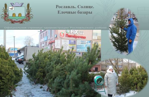 Рославль. Солнце. Ёлочные базары