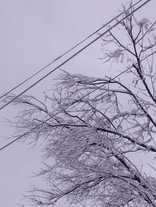 Усиленная подготовка Смоленскэнерго к зимним штормам