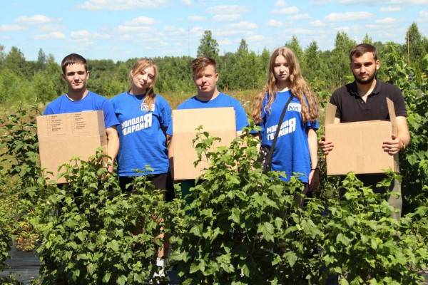 Молодогвардейцы «Единой России» передали свежие ягоды для бойцов СВО в смоленский военный госпиталь 