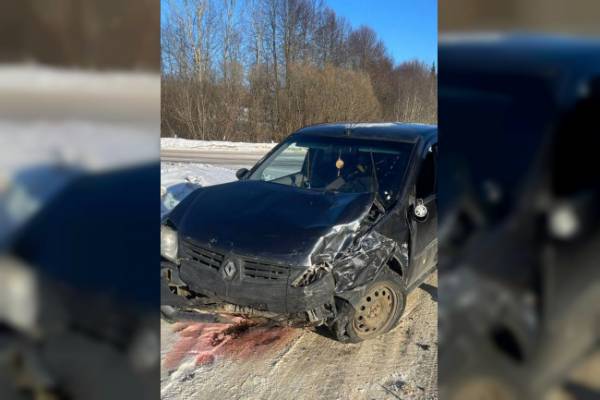 В Починковском районе возбудили уголовное дело по факту смертельного ДТП В Починковском районе возбудили уголовное дело по факту смертельного ДТП