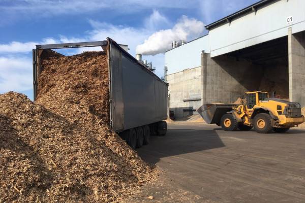 Отходы есть? А если найду? Как завод ЭГГЕР превращает горбыль и щепу с пилорам в основу для качественной мебели