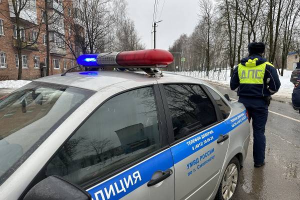 В Заднепровском районе Смоленска пройдут «сплошные проверки»