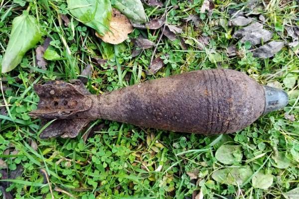 В Смоленской области обнаружены очередные взрывоопасные предметы времён ВОВ