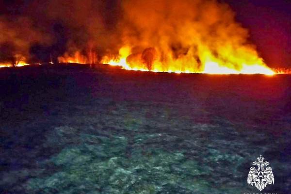 Пожары в Смоленской области: крупные возгорания в камышах