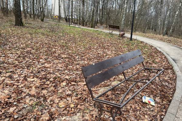 Александр Новиков: Когда смоляне перестанут ломать лавочки?