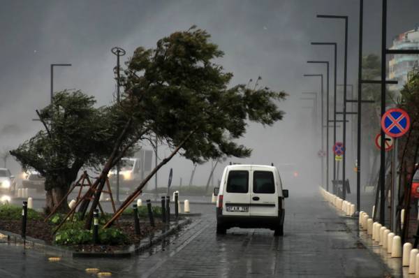 Контакты служб по устранению последствий урагана в Смоленской области