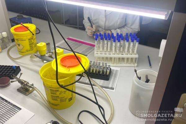 За сутки в Смоленской области сделали 1224 теста на наличие COVID-19