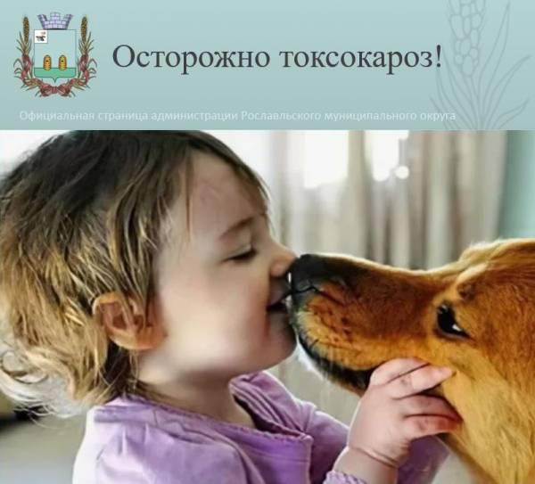 Осторожно токсокароз!