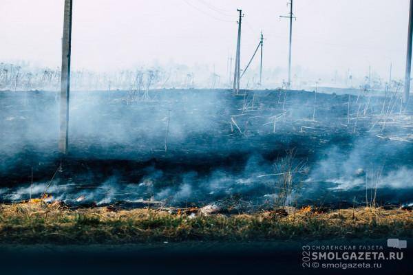 Свыше миллиона рублей штрафов заплатят смоляне за поджог сухой травы