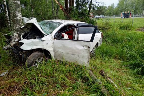 В Сафоновском районе иномарка врезалась в дерево