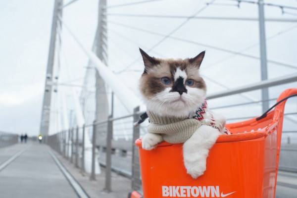 В Смоленской области вновь похолодает В Смоленской области вновь похолодает