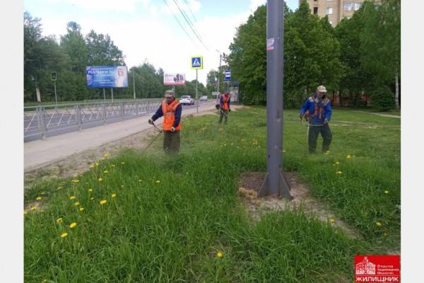 В Смоленске проводят сезонный покос травы