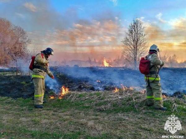Неутешительные цифры статистики палов травы