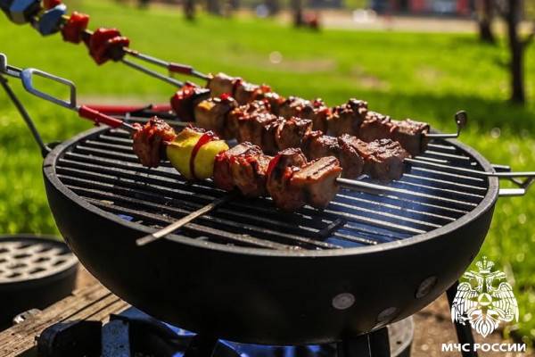 МЧС рекомендует: как безопасно готовить шашлыки