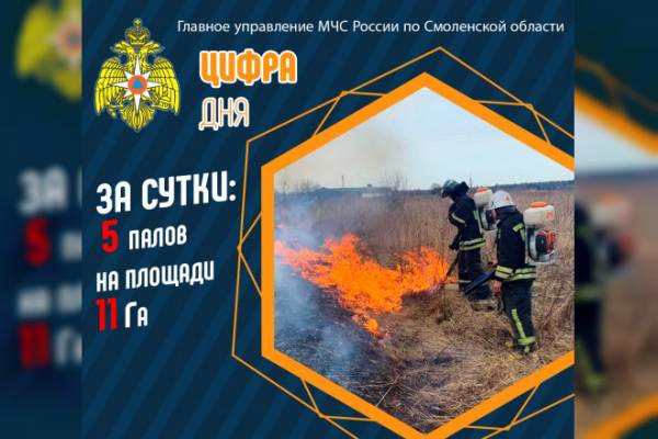 В Смоленской области зарегистрировали пять палов сухой травы за сутки