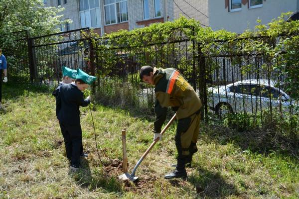 Этой весной на Смоленщине высадят почти 200 тысяч деревьев 