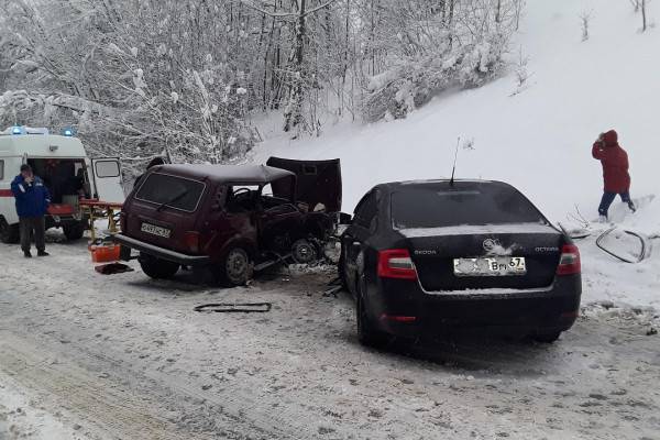 В Смоленском районе в лобовую столкнулись «Нива» и «Шкода»