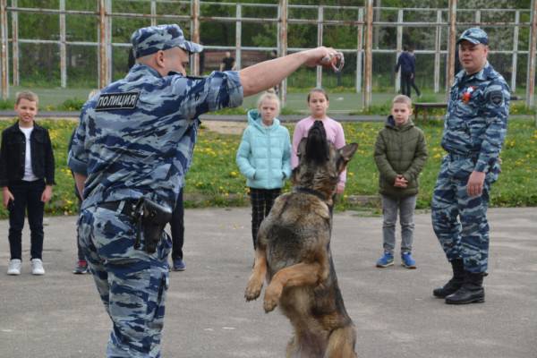 Смоленские кинологи рассказали школьникам о тонкостях своей работы