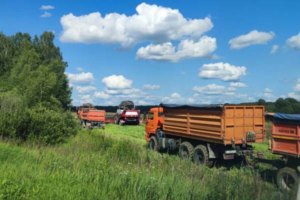 В Дорогобужском районе стартовала уборка озимого рапса