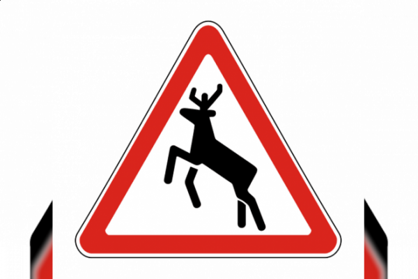 В Починковском районе после ДТП с лосем госпитализировали водителя и пассажиров внедорожника