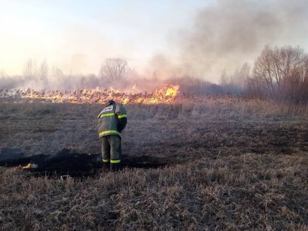 Выжигание сухой растительности - вред природе и человеку