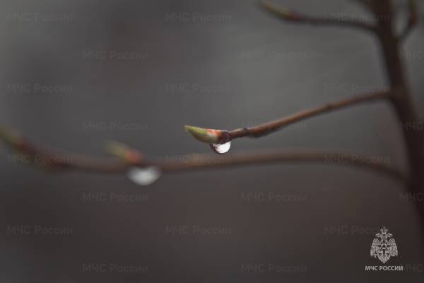 В апреле, в последнюю пятницу, ожидаются грозы