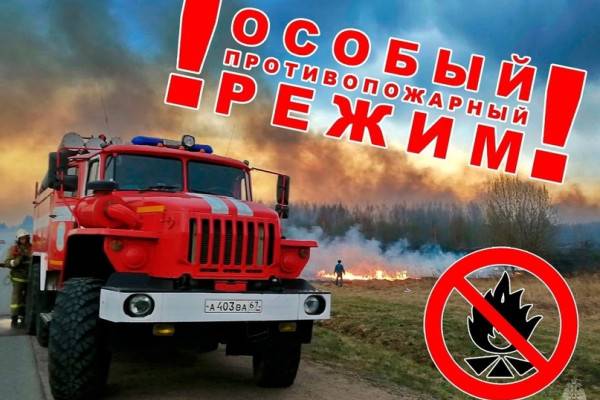 В Смоленской области в 17 муниципалитетах действует особый противопожарный режим