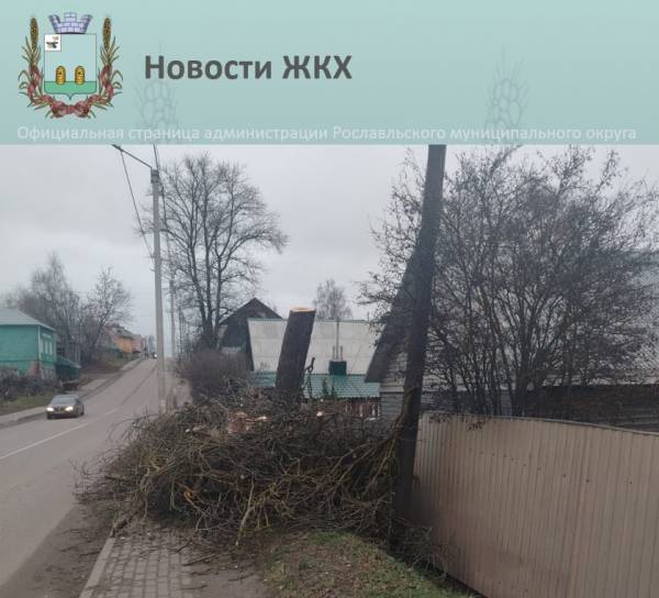 Удаление аварийного дерева на улице Ленина в Рославле прошло успешно