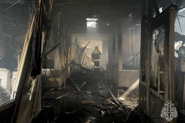 Во время пожара в Вязьме женщина оказалась в «огненной» ловушке