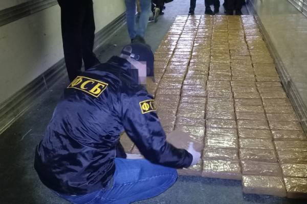 Смоленское УФСБ завершило расследование уголовного дела о контрабанде порядка 500 кг кокаина Смоленское УФСБ завершило расследование уголовного дела о контрабанде порядка 500 кг кокаина