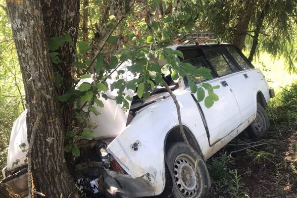 В Вяземском районе вазовская «четвёрка» врезалась в дерево