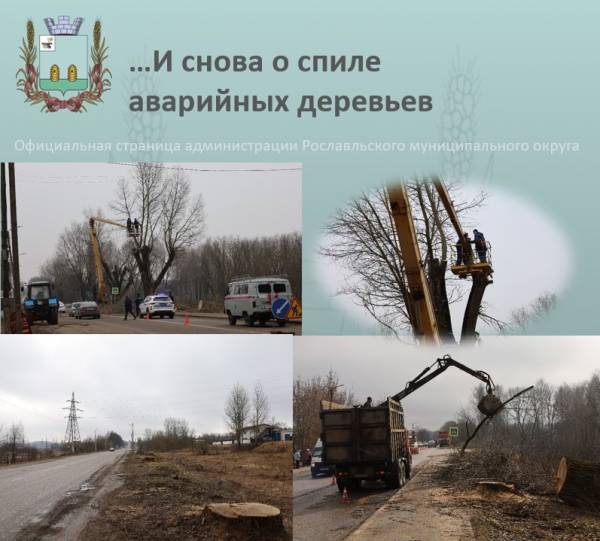 Спил деревьев в Рославле на ул. Б. Смоленская