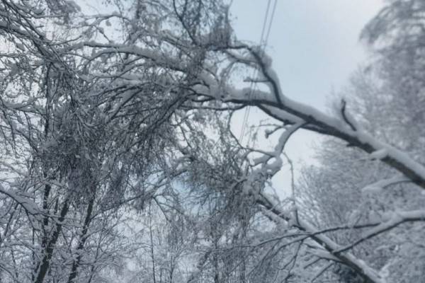 Василий Анохин: Основные работы по восстановлению электроснабжения в Смоленской области завершены Василий Анохин: Основные работы по восстановлению электроснабжения в Смоленской области завершены
