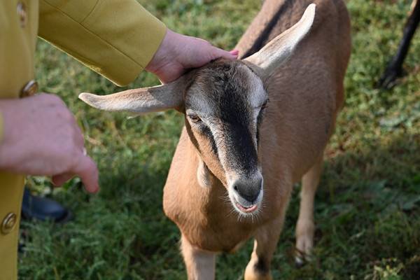 Как социальный контракт меняет жизнь смолян