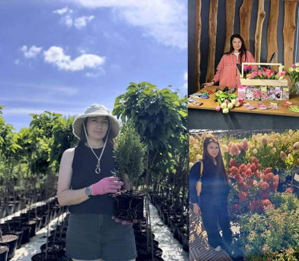 Зеленый мир Алины